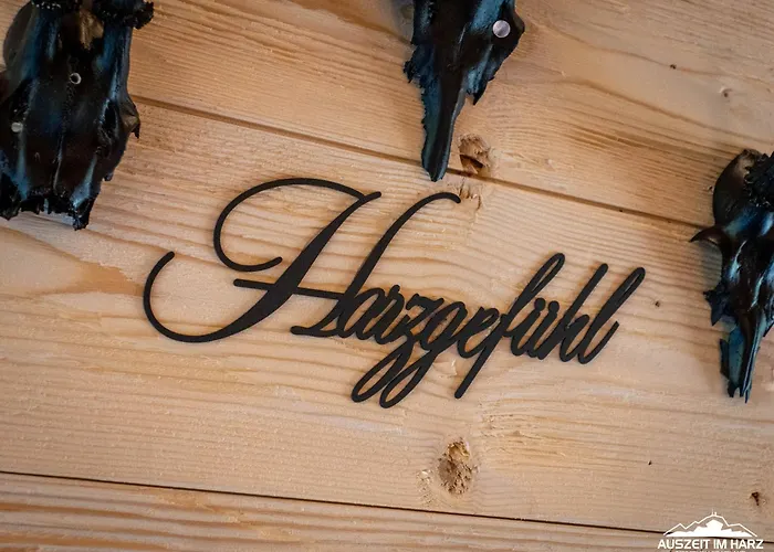 Haus 8 Auszeit Im Harz - Haus 8 Blockhaus Oben Braunlage